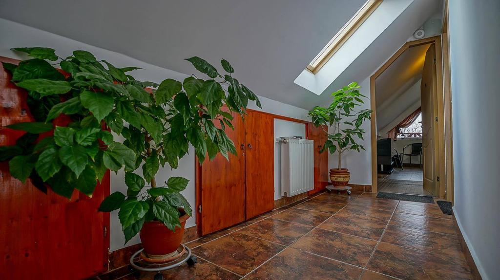Pensiunea Hanna Brașov Exterior foto